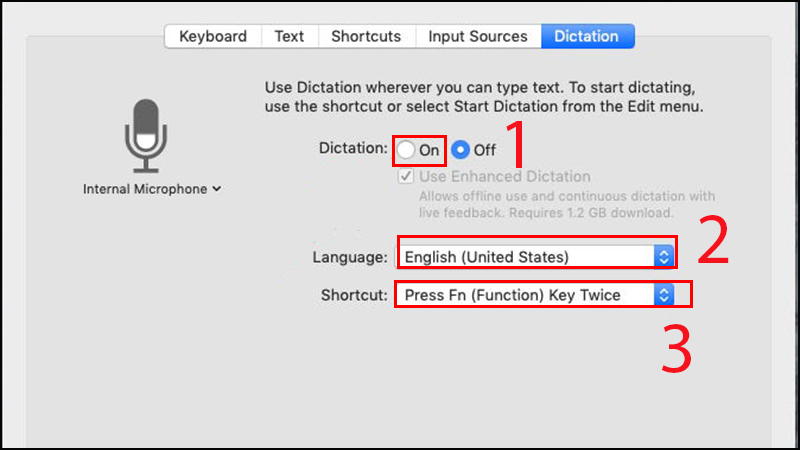 Chọn những tùy chọn hiển thị trong Dictation như hình